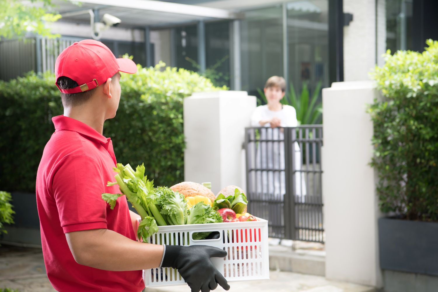 Man delivering groceries